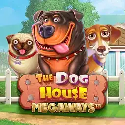 The Dog House Megaways gra w SG Casino dla graczy z Polski The Dog House Megaways gra w SG Casino dla graczy z Polski