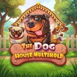 The Dog House Multihold gra w SG Casino dla graczy z Polski The Dog House Multihold gra w SG Casino dla graczy z Polski